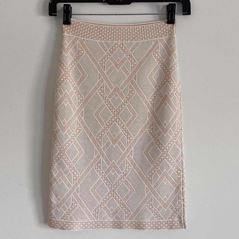 NWT BCBGMaxAzria Bodycon Skirt